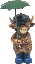 Rainy Days - Highland Cow