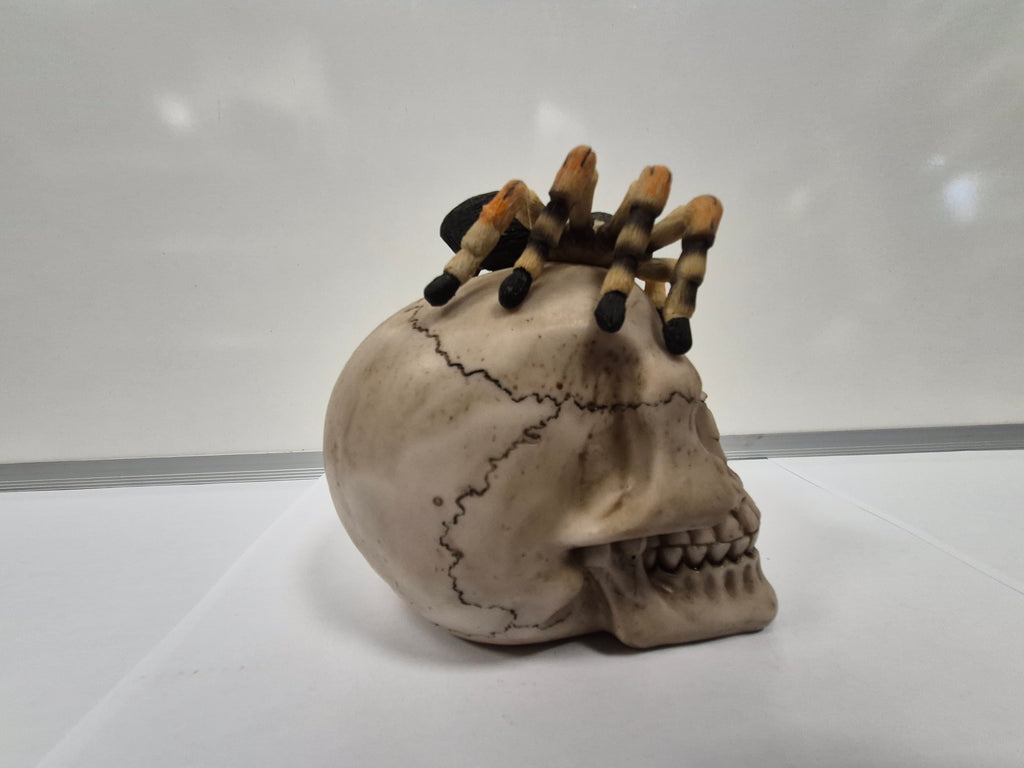 Tarantula Skull