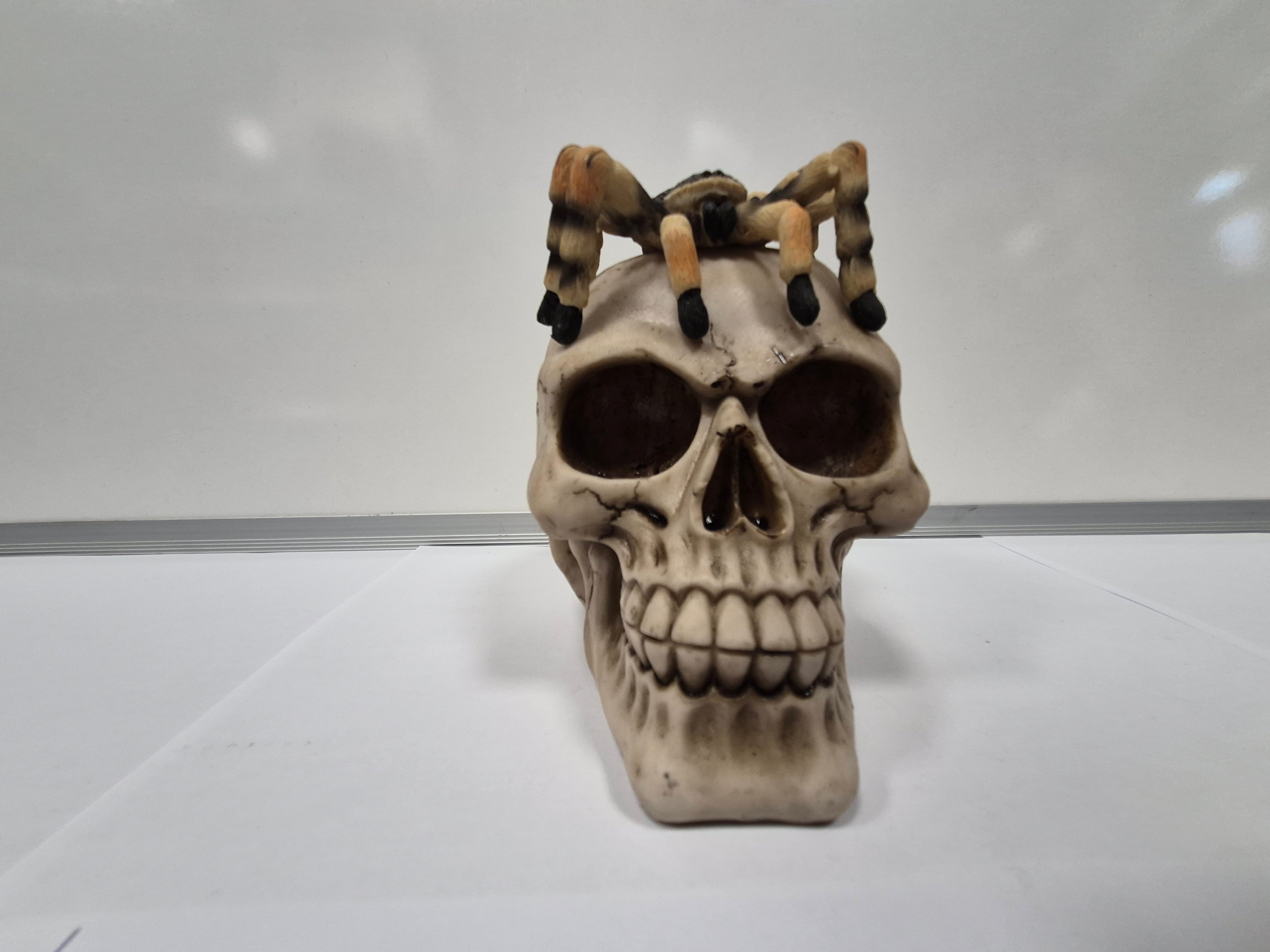 Tarantula Skull