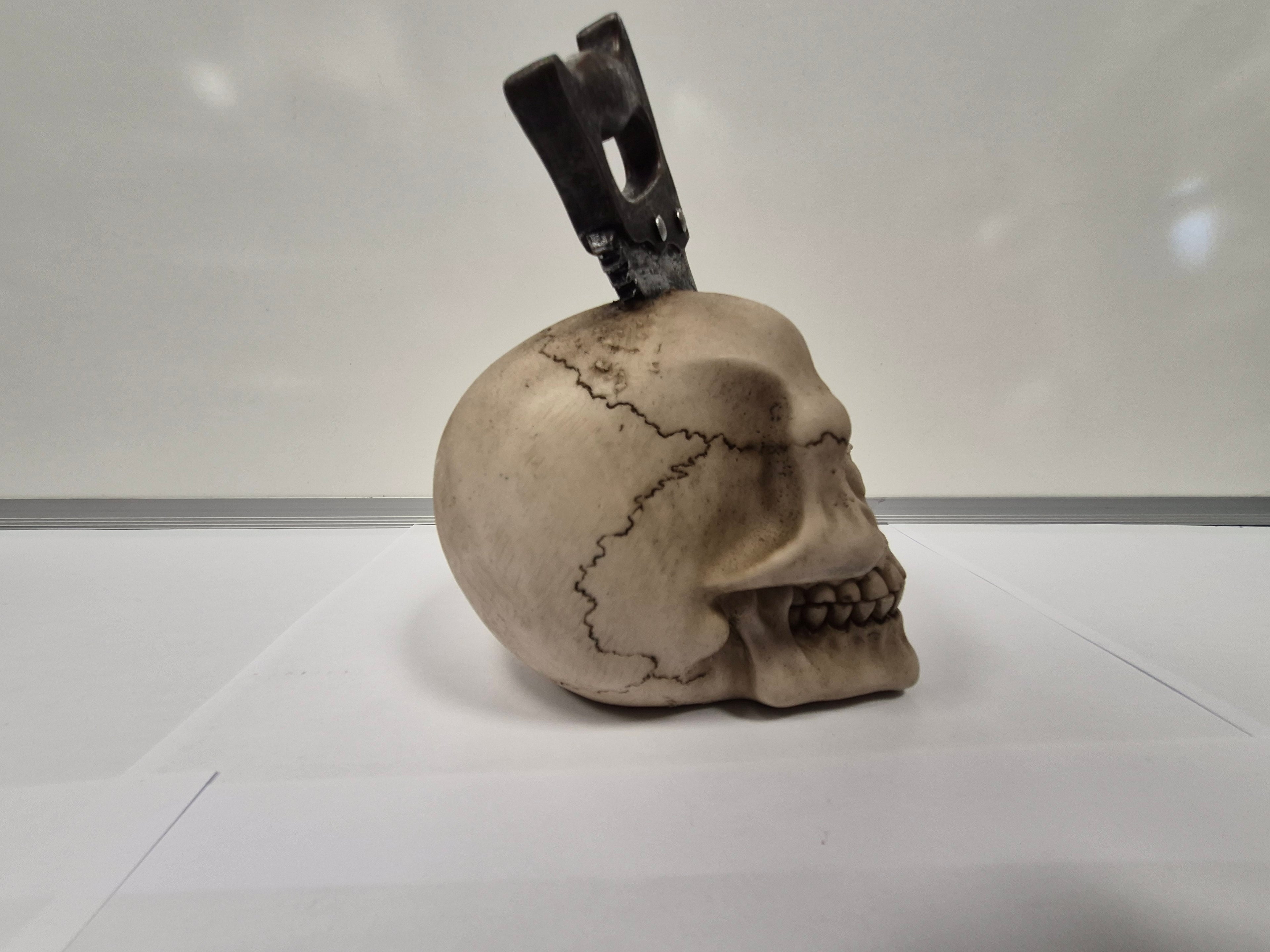 Saw Skull