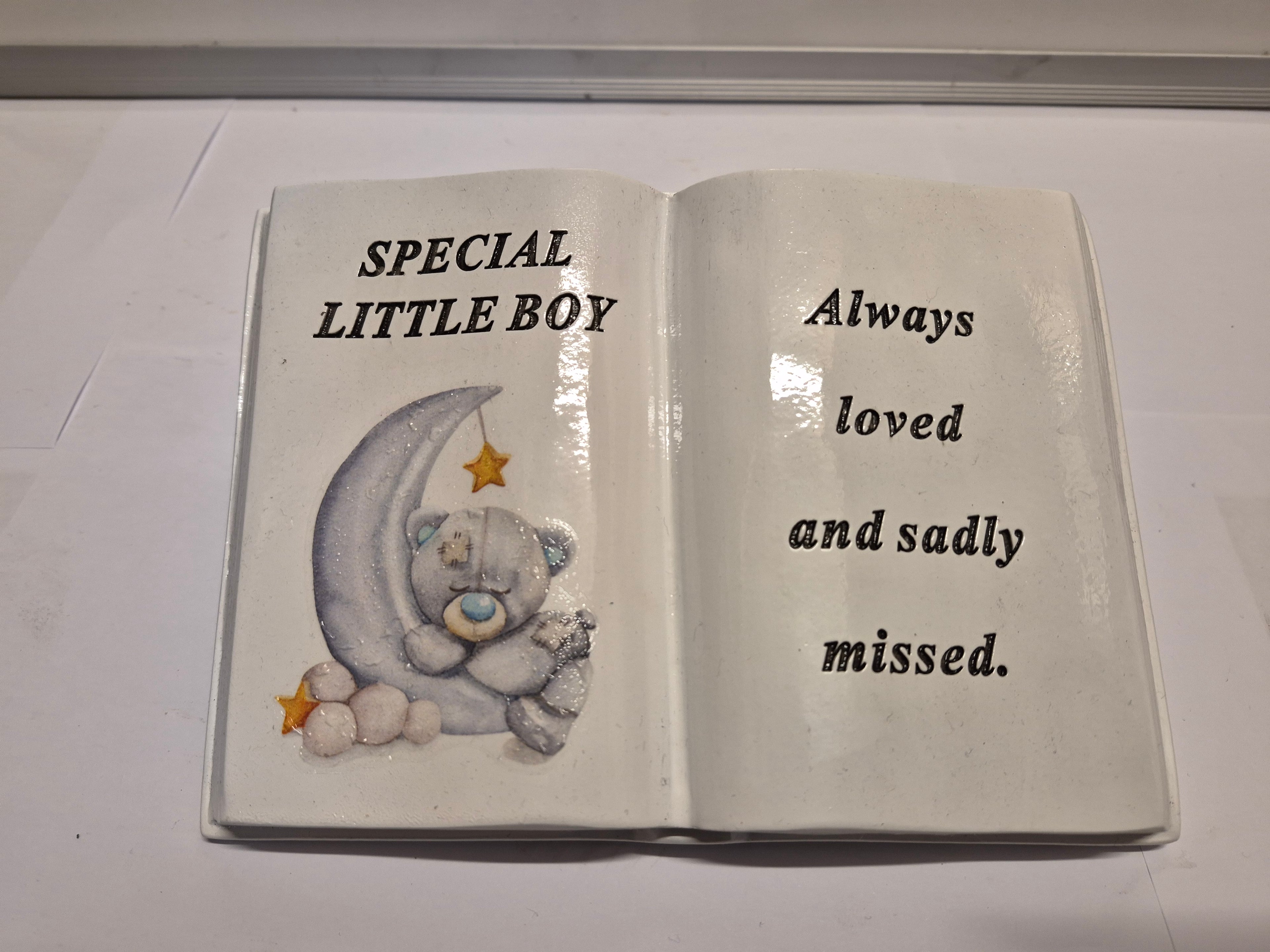 Special Little Boy Memorial Moon Bear Book