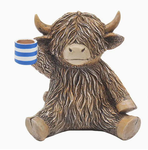 Time for a cuppa - Highland Cow